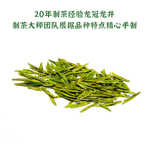 2026新茶·龙冠龙井【金碗钉·中茶108】纯茶礼盒 200g 商品图2