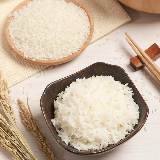 黑龙江五常稻花香2号大米 | 被《舌尖上的中国》誉为：中国至好的稻米 商品图4