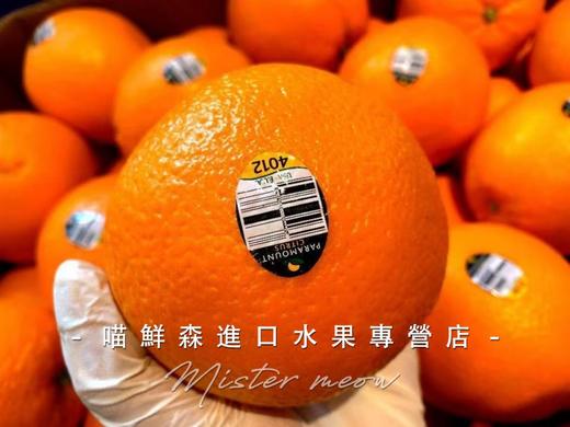 🛵新奇士黑标甜橙【纯甜多汁】 商品图7