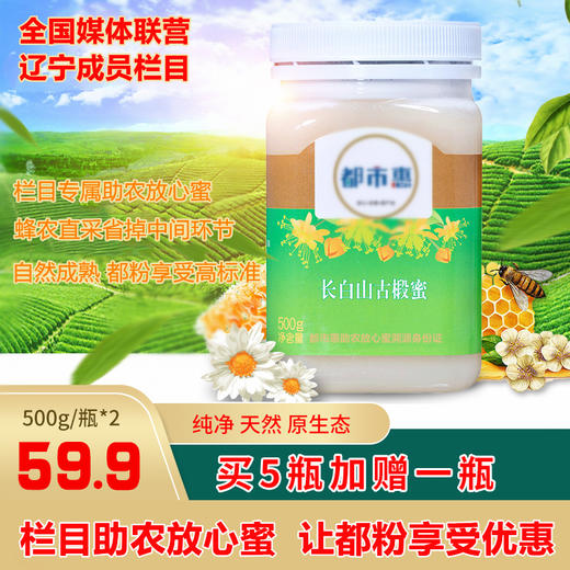 2025新蜜【自营】长白山古椴雪蜜 都市惠助农椴树蜂蜜 商品图1