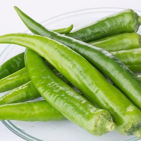 【生鲜预定】细尖椒