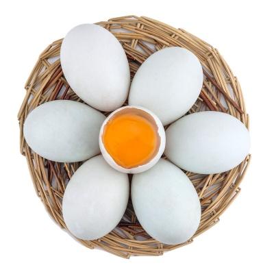 【湛江帮扶】廉心海鸭蛋20枚装 | 新鲜海鸭蛋（非咸鸭蛋） 商品图3