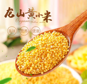 山东特产章丘龙山小米新米宝宝月子米杂粮2.5KG布袋包装黄小米