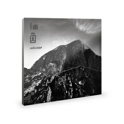 细菌乐队 - 《细菌》CD 商品图0
