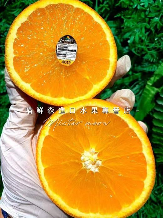 🛵新奇士黑标甜橙【纯甜多汁】 商品图4