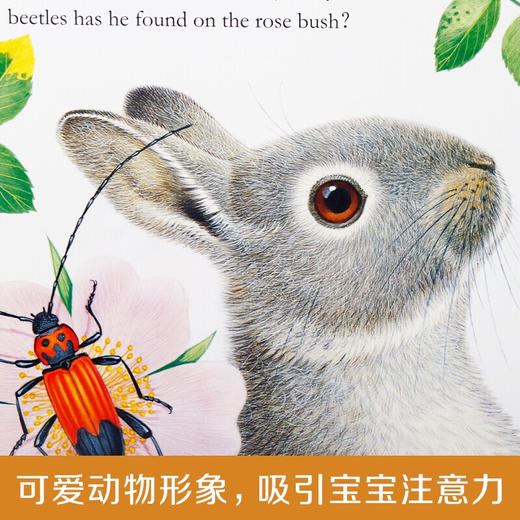 亮丽精美触摸书 V3-1小兔比利 0-3岁 婴儿书撕不烂感官刺激触感玩具立体书 商品图1