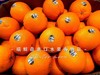 🛵新奇士黑标甜橙【纯甜多汁】 商品缩略图9