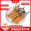 睿源堂·散装冬虫夏草（25-30#/kg）688# 商品缩略图0