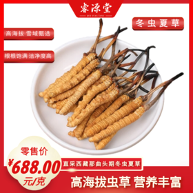 睿源堂·散装冬虫夏草（25-30#/kg）688#