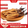 西藏散装冬虫夏草（35-40#/kg）498# 商品缩略图0