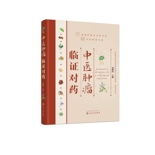 中医肿瘤临证对药 商品图0
