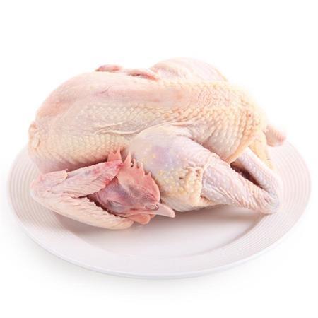 白条鸡 商品图0