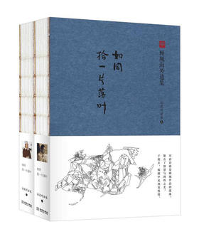 《如同拾一片落叶》（上下）对话访谈是顾城作品的遗珠 聚合了智慧与理性之光 于奥义、璀璨中见到真性情