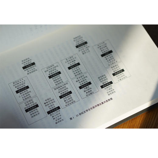 21世纪的文学批评：理论的复兴 商品图5