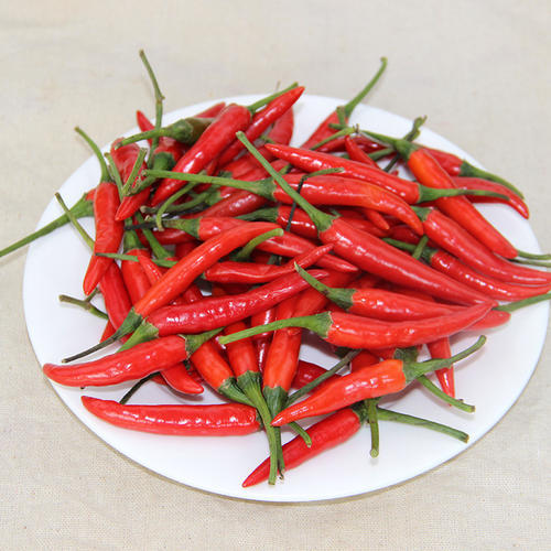 【生鲜预定】小米辣 商品图0