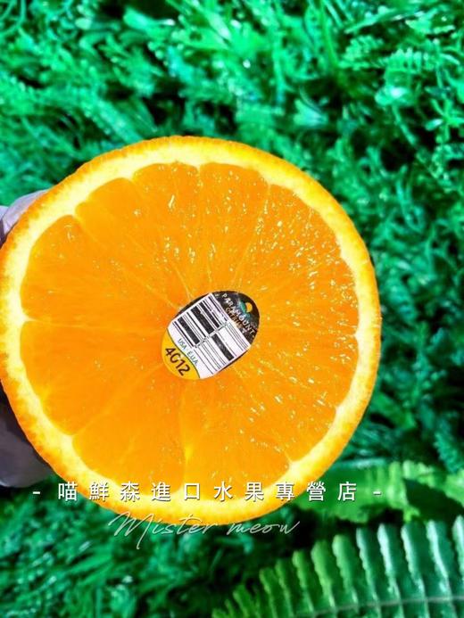 🛵新奇士黑标甜橙【纯甜多汁】 商品图6