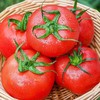 普罗旺斯水果西红柿 商品缩略图1