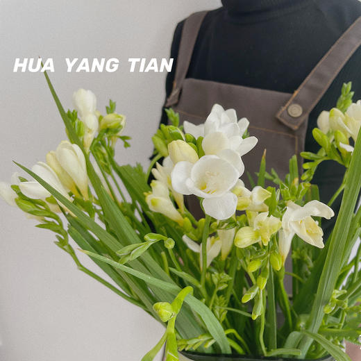 20枝小苍兰 · 瓶插花   含花瓶 商品图1