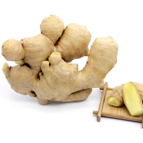 【生鲜预定】山东大黄姜