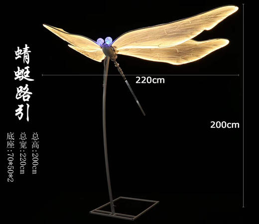 蜻蜓路引【运费自理】 商品图0