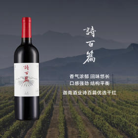 迦南酒业诗百篇优选干红Canaan Chapter and Verse Select Dry Red 2015
