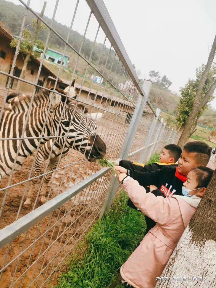 103031大青山野生動物園親子一日遊