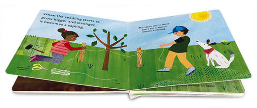 你好科学小世界 苹果是怎样生长的 英文原版 Hello World How Do Apples Grow 幼儿英语启蒙早教益智认知图画书 科普绘本纸板书 商品图1