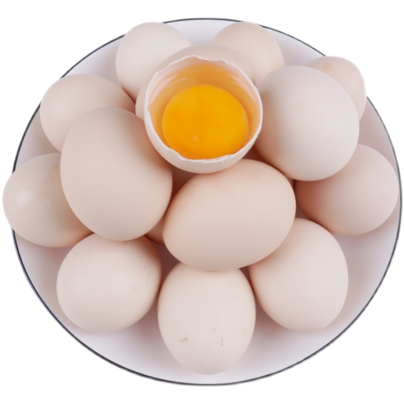 鸡蛋