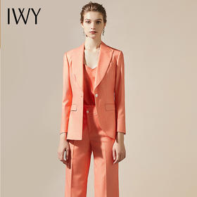 IWY/203174C1+203174P6