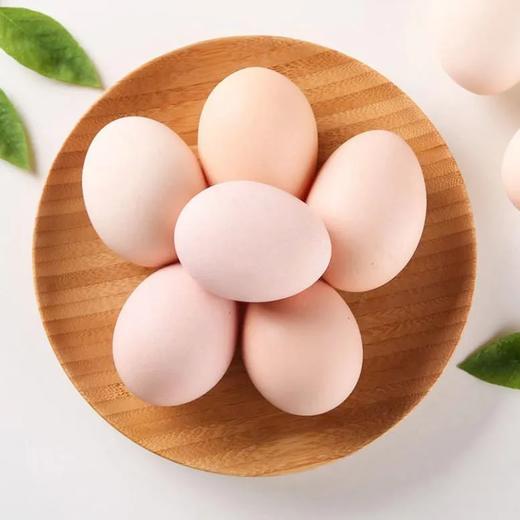 鸡蛋 商品图1