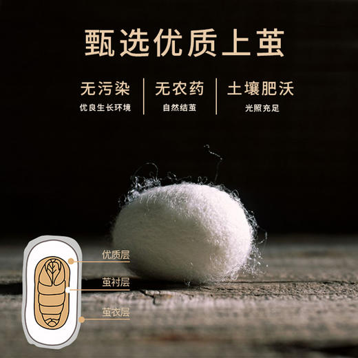 【蚕长丝填充】嘉莉娅夏季轻薄蚕丝被 甄选上茧 丝长可达1500米 柔软亲肤 亲肤透气 商品图3