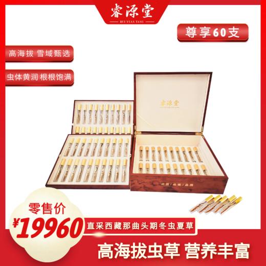 睿源堂·尊享冬虫夏草24g/60支装/13# 商品图0