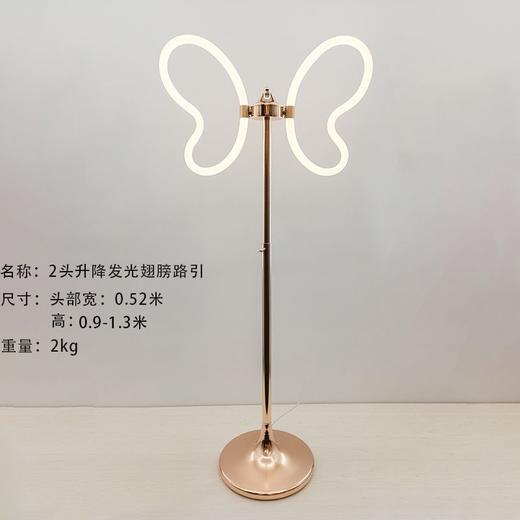 2头升降发光翅膀路引【运费自理】 商品图0