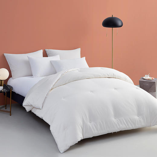 大朴内外大豆纤维牛奶抗菌被 春秋被/冬被 牛奶般丝滑 抗菌又养肤 商品图11