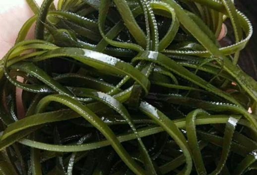 323海带条500克/份 商品图0