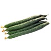 黄瓜 商品缩略图3