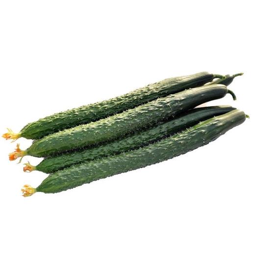黄瓜 商品图3