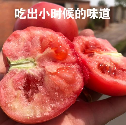 西红柿 商品图0