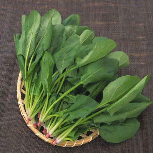 菠菜 商品图2
