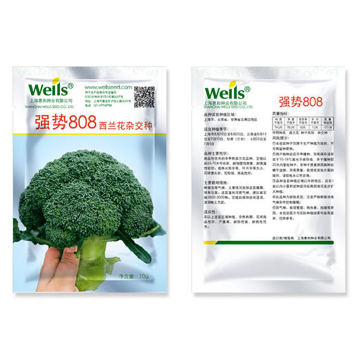 [专业种子] “强势808”西兰花种子 商品图1