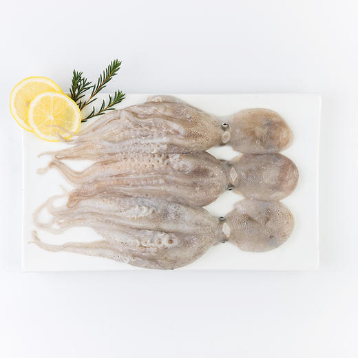 【章鱼·整只】400g 8-10只 至鲜章鱼 商品图3