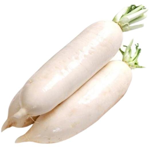 白萝卜 商品图5