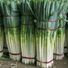 大葱 商品缩略图3