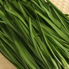 韭菜 商品缩略图2