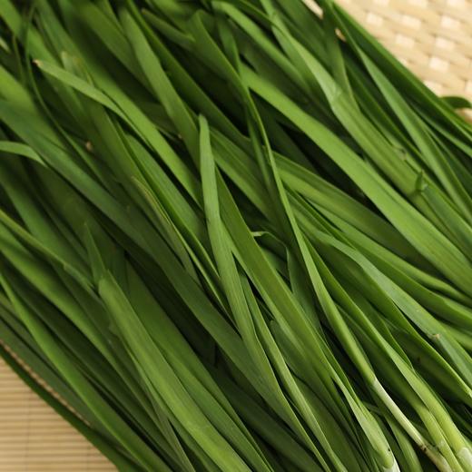 韭菜 商品图2