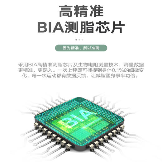 您的身体管家 | 乐心智能体脂秤A6 精准家用测脂肪体脂率健康体重秤[福利品] 商品图3
