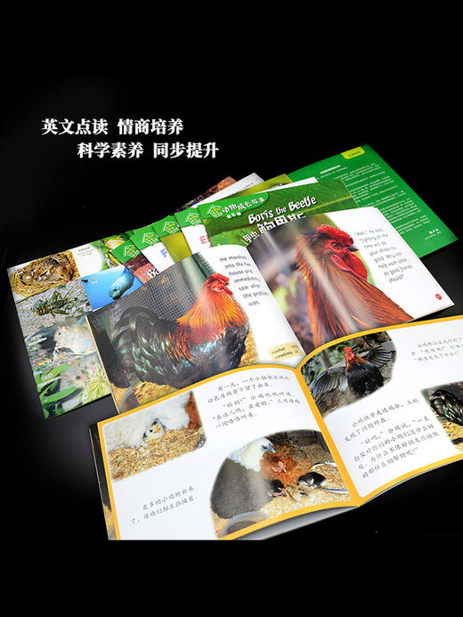外研社双语故事屋系列《动物成长故事》盒装（全10辑） 商品图4