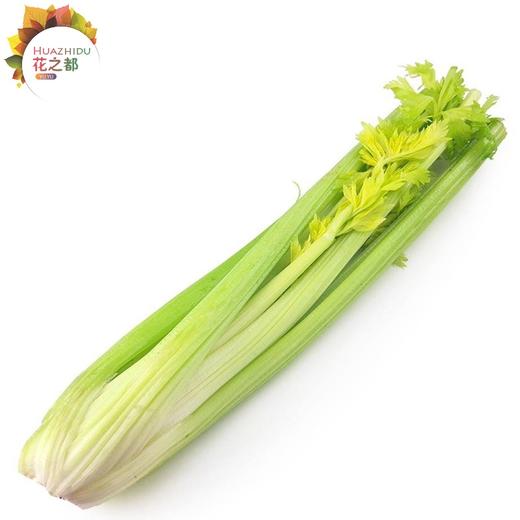 西芹 商品图1