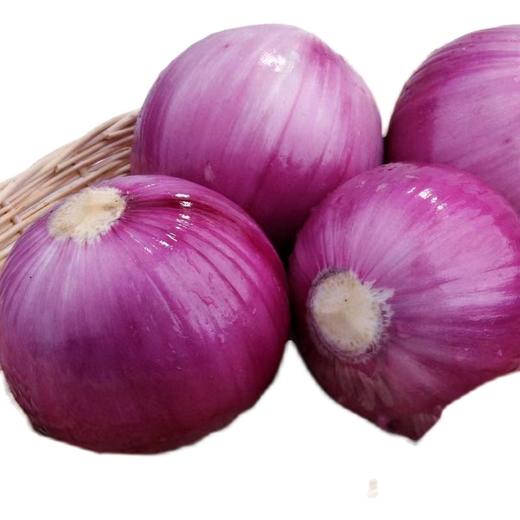 红葱头 商品图2