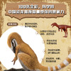 中国恐龙博物馆 商品缩略图3